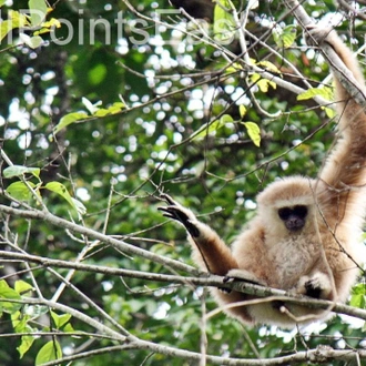 tourhub | All Points East | Thailand World Heritage | Isan Tour 