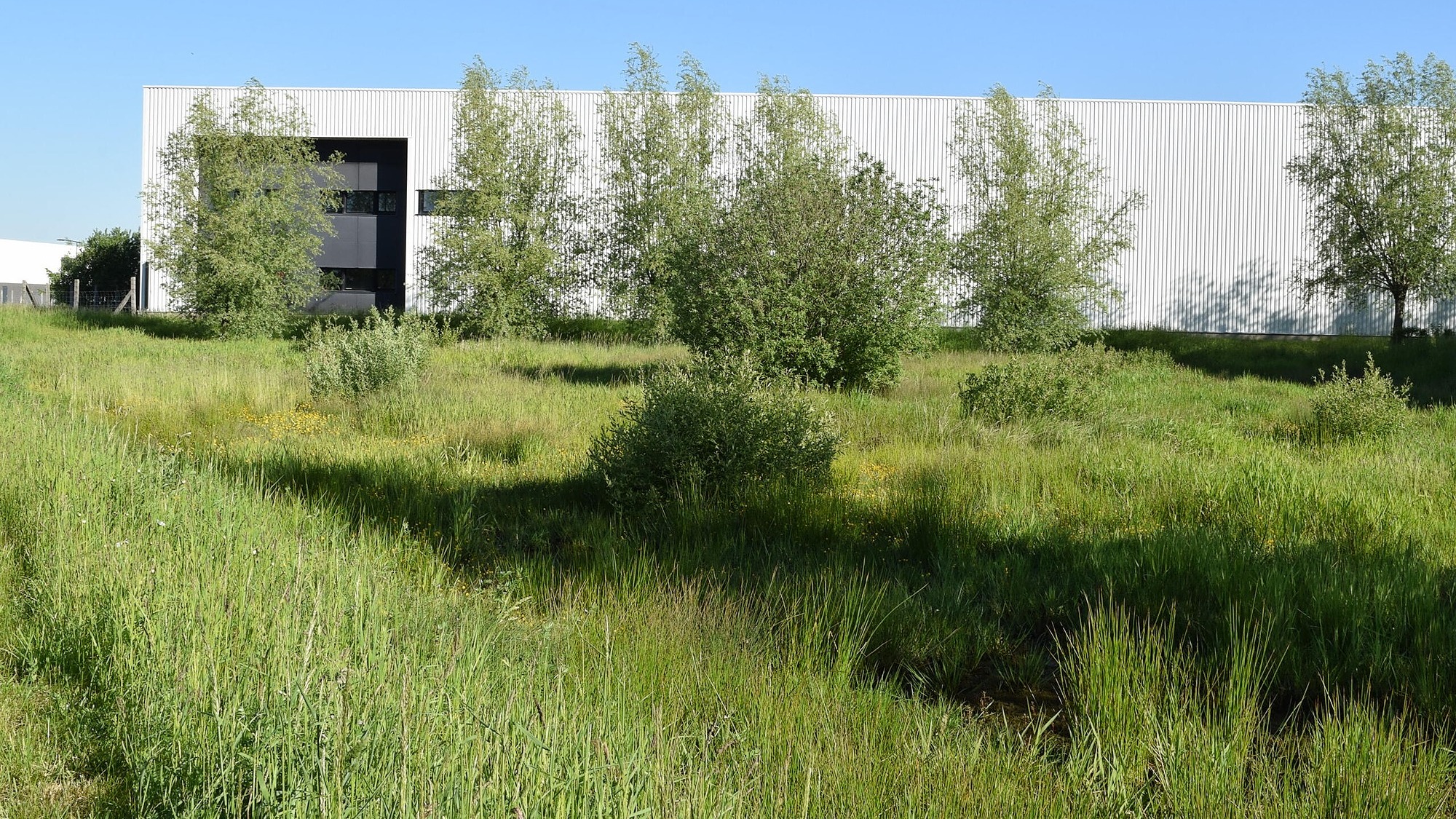 Représentation de la formation : La Gestion Écologique des Espaces Verts