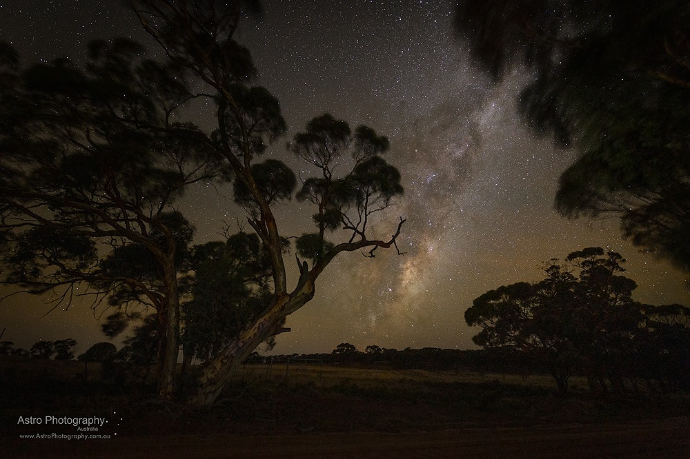Milky Way nightscape under dark skies.