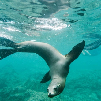 tourhub | Intrepid Travel | Ultimate Galapagos: Central Islands (Grand Daphne) 