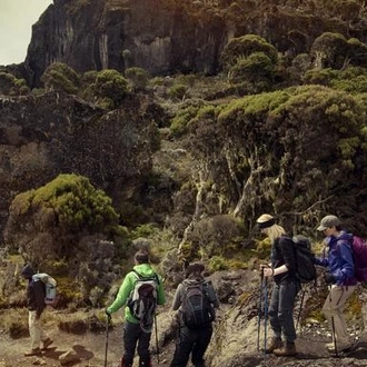 tourhub | G Adventures | Mt Kilimanjaro Trek - Machame Route (8 Days) 