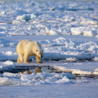 tourhub | Exodus Adventure Travels | Spitsbergen Highlights: Expedition in Brief 