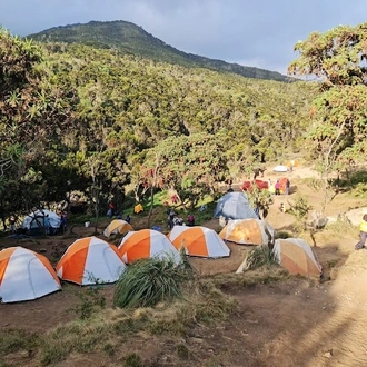 tourhub | Kilimanjaro Habitat Safaris | 7 Days Kilimanjaro Climb Machame Route 