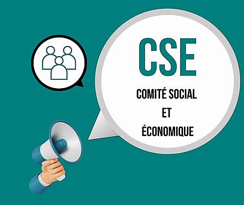 Représentation de la formation : Formation des membres CSE SSCT Recyclage (membres CSSCT)