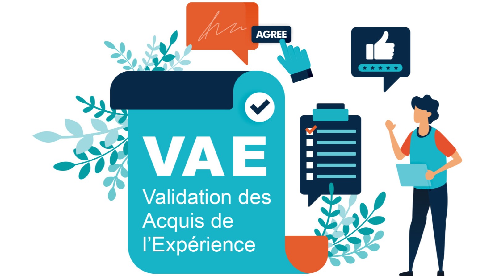 Représentation de la formation : ACCOMPAGNEMENT VAE