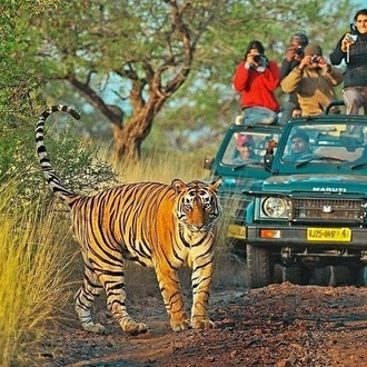 tourhub | Memorable India Journeys Pvt Ltd | Experience the Taj Mahal and Wildlife with a Royal Stay at Castles 