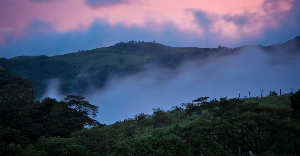 Misty Cloud Forest In Costa Rica Stock Photo - Download Image Now