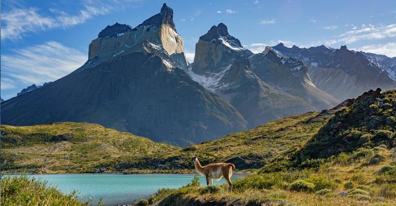 patagonia wild travel
