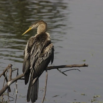 tourhub | Agora Voyages | Delhi to Agra & Bharatpur Birdwatching Excursion 