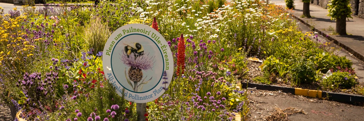 Pollinator Plan