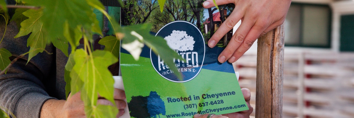 Rooted in Cheyenne
