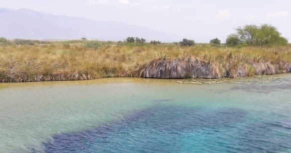 Tour to Magical Town Cuatro Cienegas with Pick up - Accommodations in Monterrey
