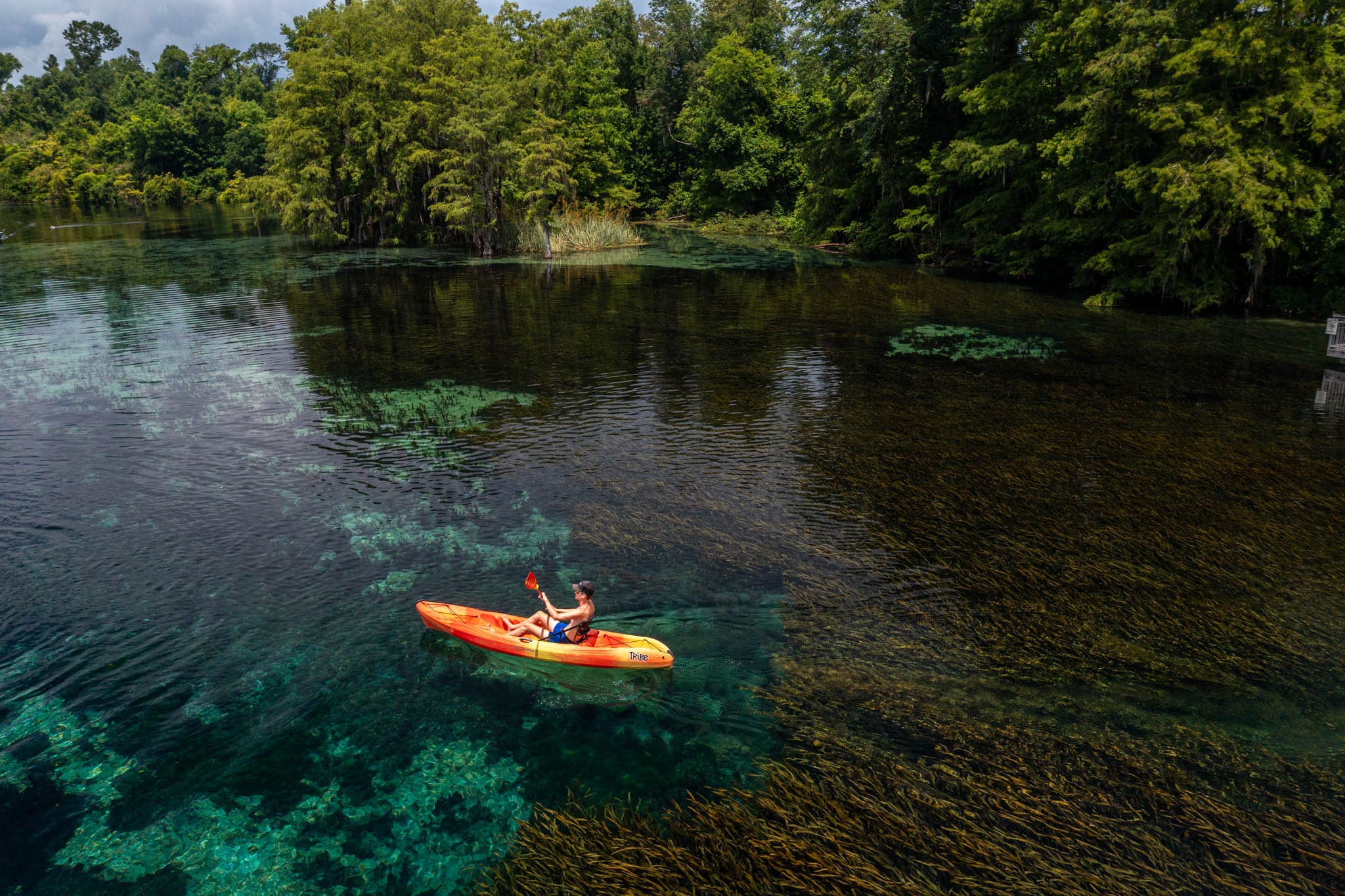 Single Kayak Rentals (Jackson Blue Springs)