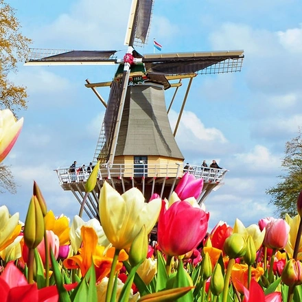 Amsterdam & the Dutch Bulbfields