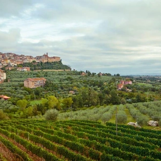 Tuscany to Cinque Terre: Wines, Villages & Unforgettable Walks