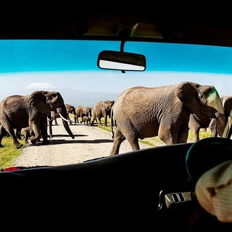 tourhub | Gracepatt Ecotours Kenya | 2-Day Amboseli National Park Safari- Daily Departures 