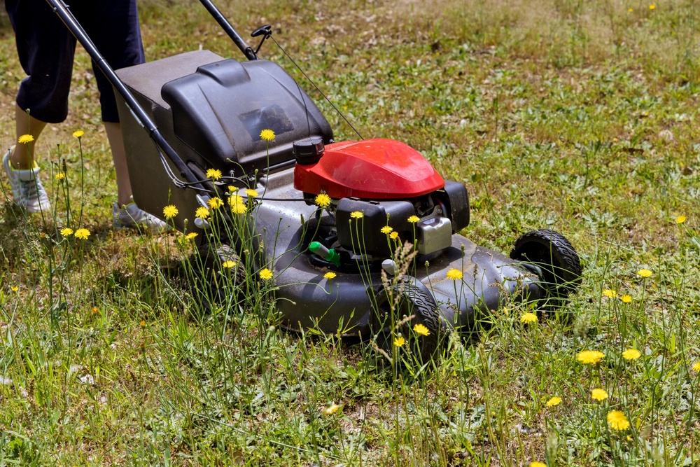 Person klipper gräs med gräsklippare.