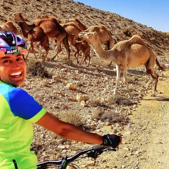 tourhub | Intrepid Travel | Cycle Jordan: Petra & Wadi Rum 