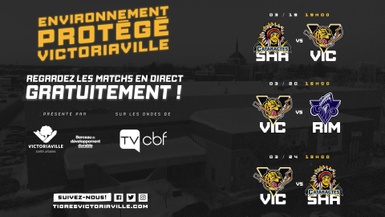 Les Tigres à la TVCBF durant l'environnement protégé de Victoriaville !