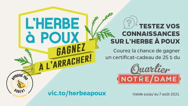 L’herbe à poux: Gagnez à l’arracher