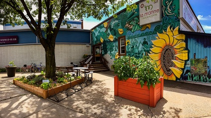 Potager urbain derrière L'épicerie santé La Manne