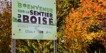 Le Sentier du Boisé est un projet de valorisation d'espace boisé en milieu urbain