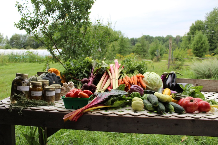 TVR: Marché public de Kingsey Falls