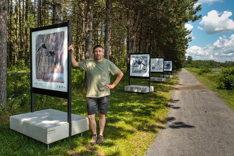 TVR: Initiation à la photographie ornithologique - Crédit photo: La Nouvelle Union_grancieuseté