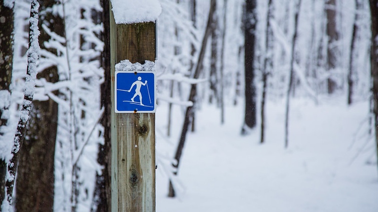 Ski de fond