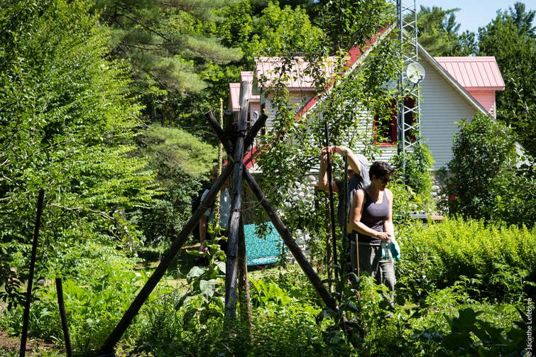 TVR: Bien hâte de vous faire découvrir mon grand jardin!