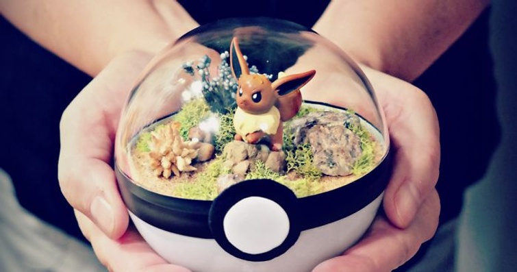 Poké terrarium