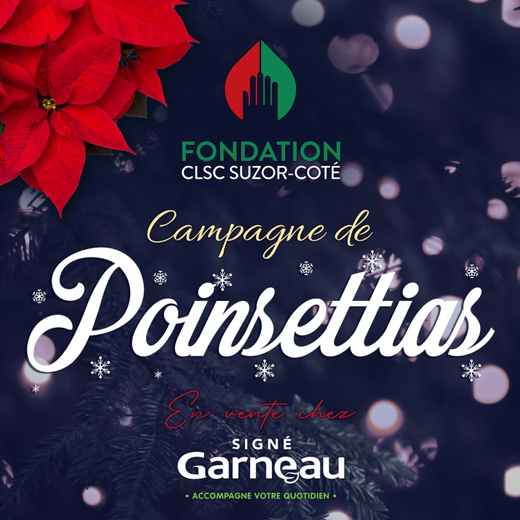 Affiche poinsettias