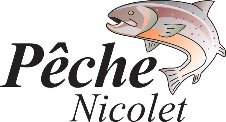 Logo peche en ville