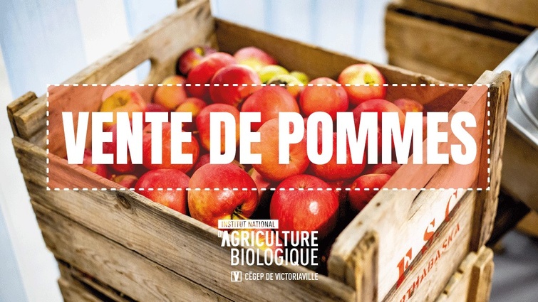 Vente de pommes