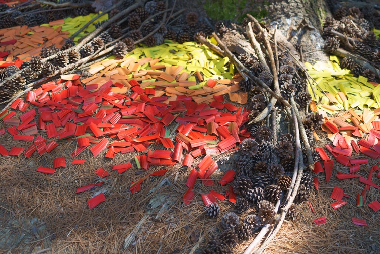 Exemple d'oeuvre d'art créée en nature