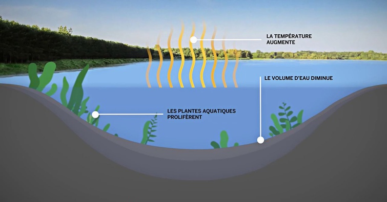 Visualisation de la problématique liée à l'accumulation des sédiments dans le réservoir Beaudet de Victoriaville