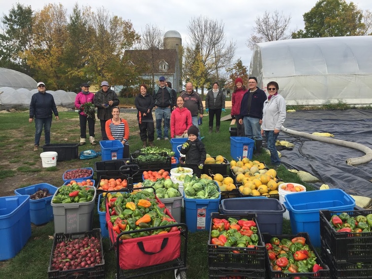 Artha-Récolte: plus de 13 tonnes de fruits et légumes sauvés et partagés