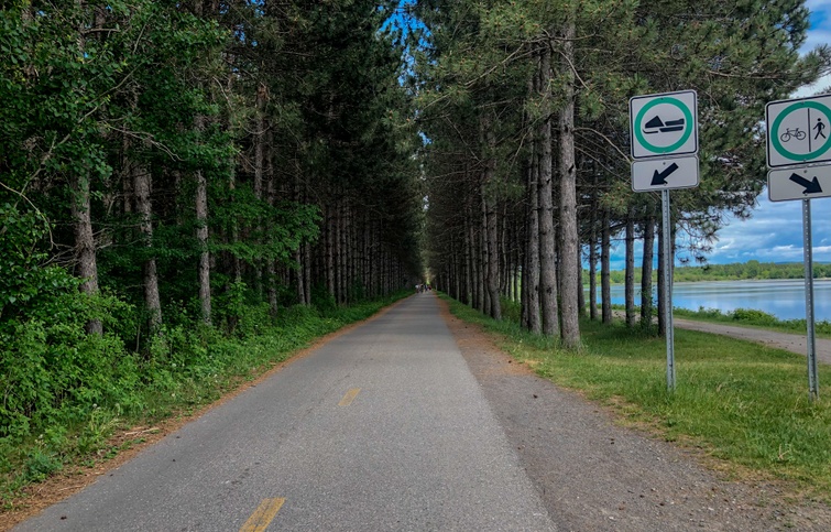 Travaux d’entretien forestier au réservoir Beaudet