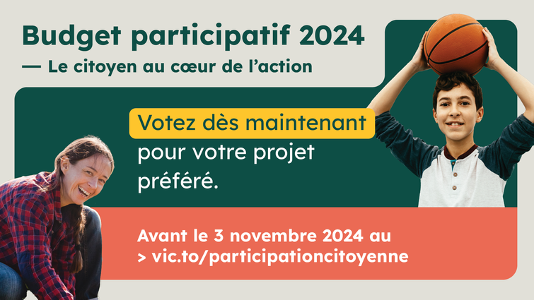 Budget participatif: Votez pour votre projet préféré avant le 3 novembre 2024