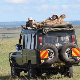 tourhub | Across Africa Tours Travel | 6 Days /5 Nights Adventure in Masai Mara,Lake Nakuru, Amboseli 