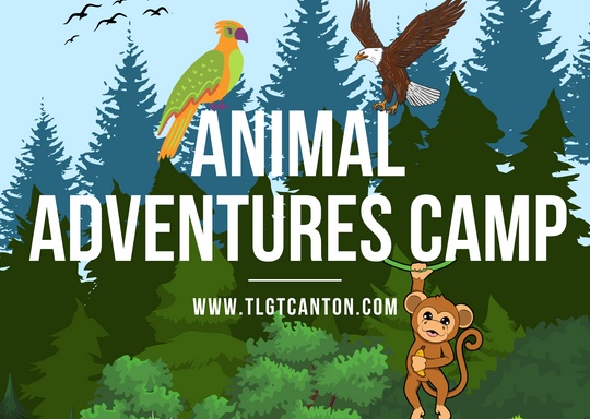 The Little Green Tambourine Animal Adventures Camp