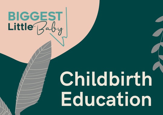 Biggest Little Baby Childbirth Education