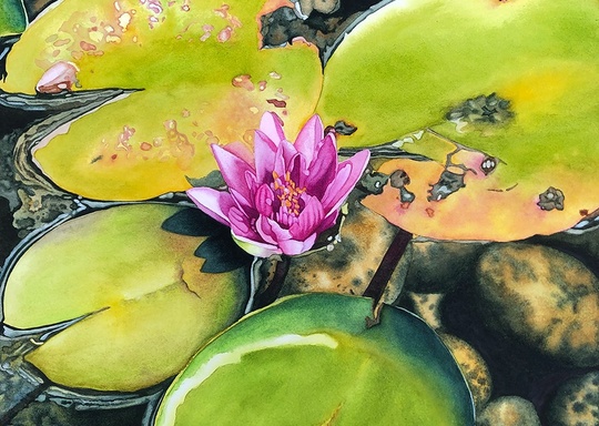 Sweetwater Art Center Painting from Nature with Watercolors PA10
