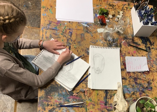 ArtFarm Annapolis Fundamentals of Drawing (ages 8-11)
