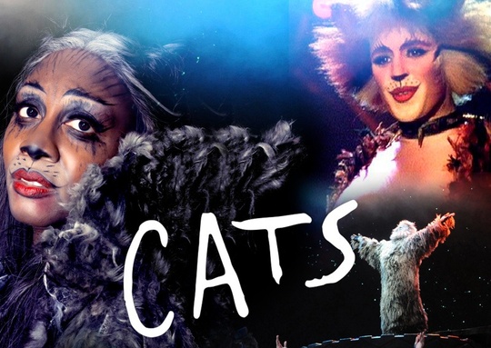 All About Theatre CATS Musical Camp