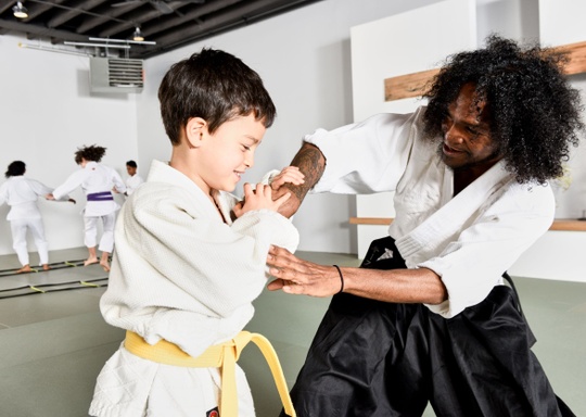 Martial Arts for Kids  Aikido of South Brooklyn