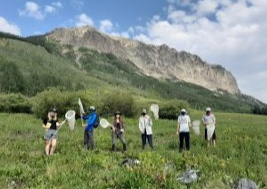 Rocky Mountain Biological Laboratory Application: High School Introduction to Field Biology
