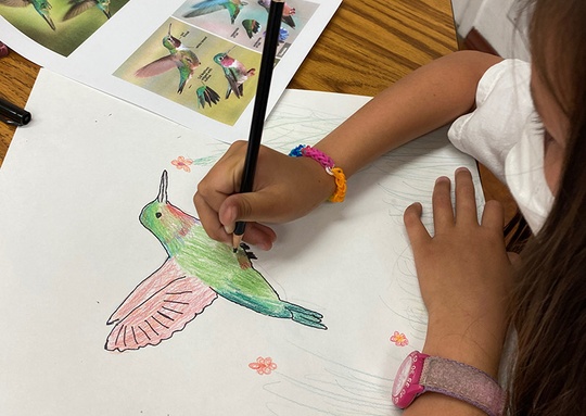 Drawing and Painting - Big Kids - ARTree Community Arts Center - Sawyer