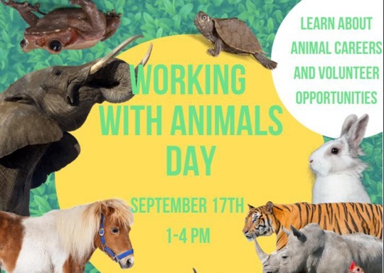 Our Giving Garden Working With Animals Event