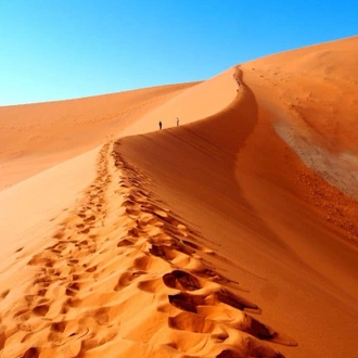 tourhub | Travel Department | Highlights of Namibia - Unique Small Group 